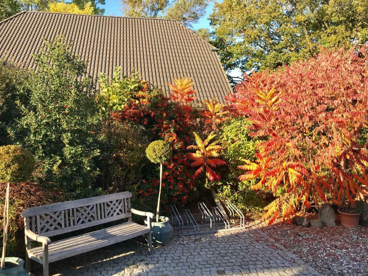 "Steuerbord" By Ferienhaus Strandgut Born Bagian luar foto